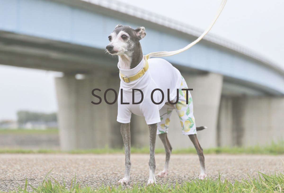 画像3: レモンの2wayスポーツニット（ホワイト）〜ノースリーブまで (3)