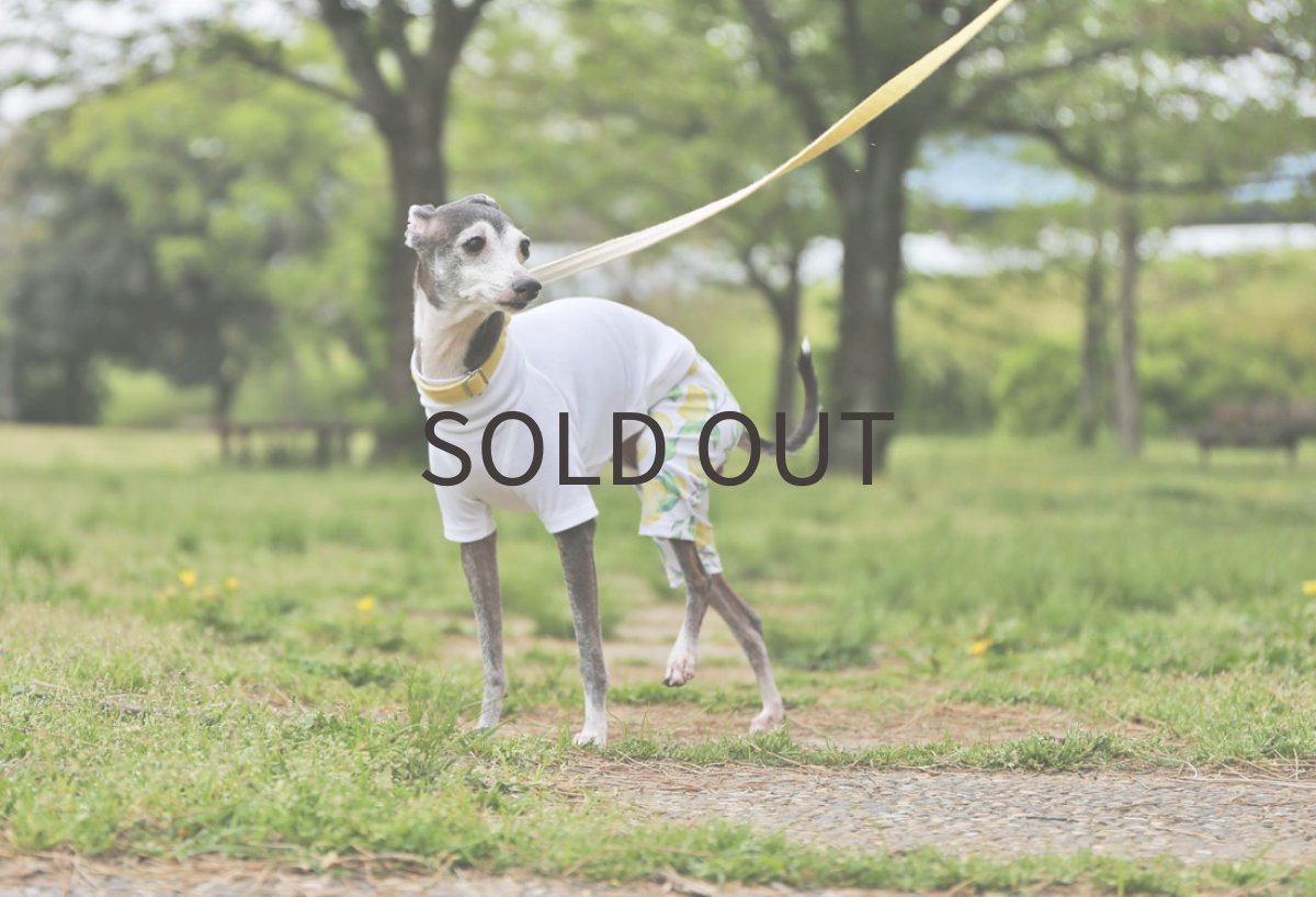 画像5: レモンの2wayスポーツニット（ホワイト）〜ノースリーブまで (5)