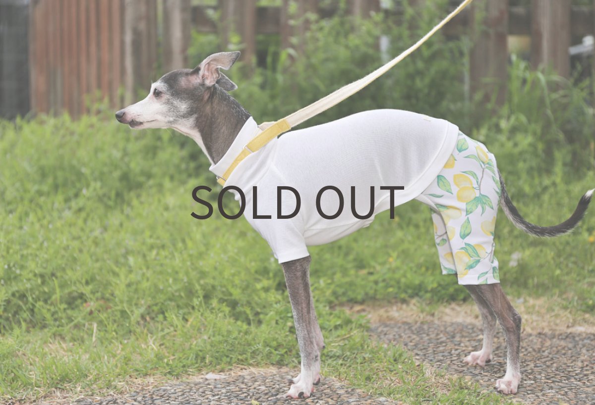 画像4: レモンの2wayスポーツニット（ホワイト）〜ノースリーブまで (4)