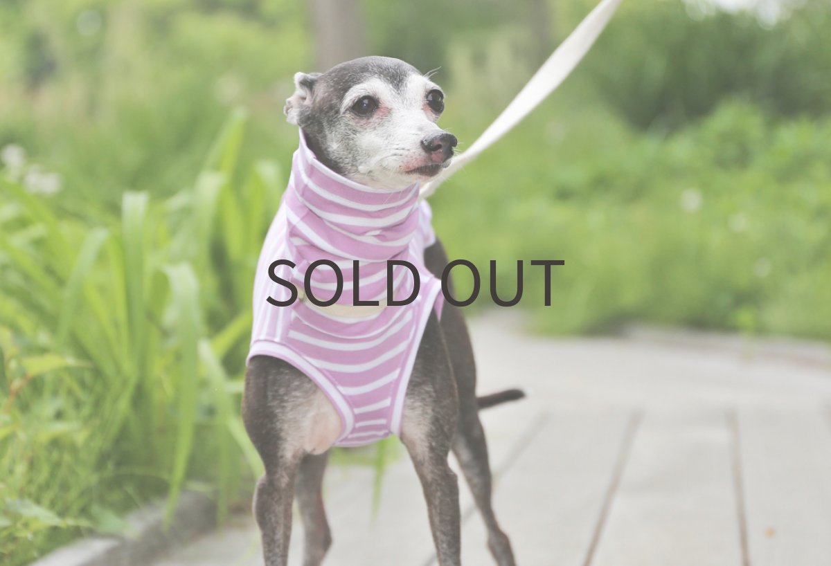 画像3: ゆったり袖幅のボーダーニット（オーキッド） (3)