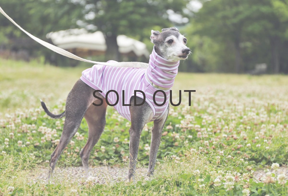 画像5: ゆったり袖幅のボーダーニット（オーキッド） (5)