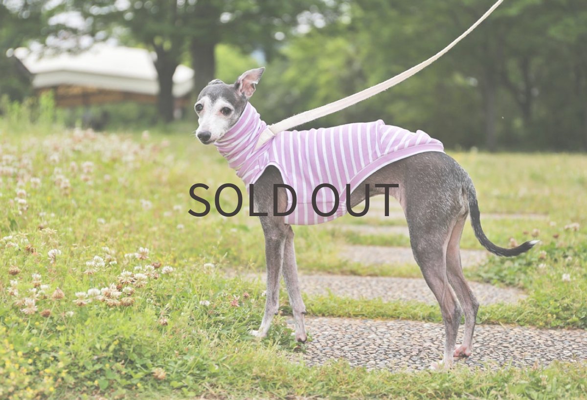 画像8: ゆったり袖幅のボーダーニット（オーキッド） (8)