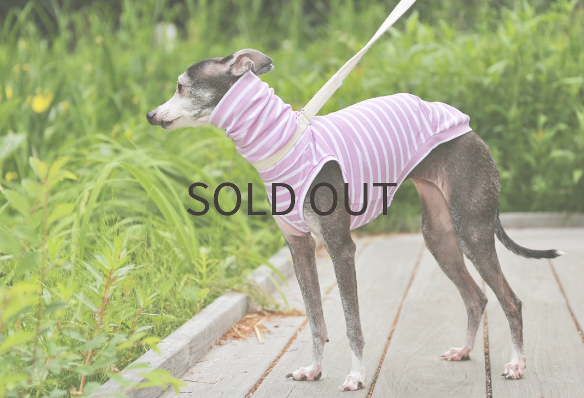 画像4: ゆったり袖幅のボーダーニット（オーキッド） (4)