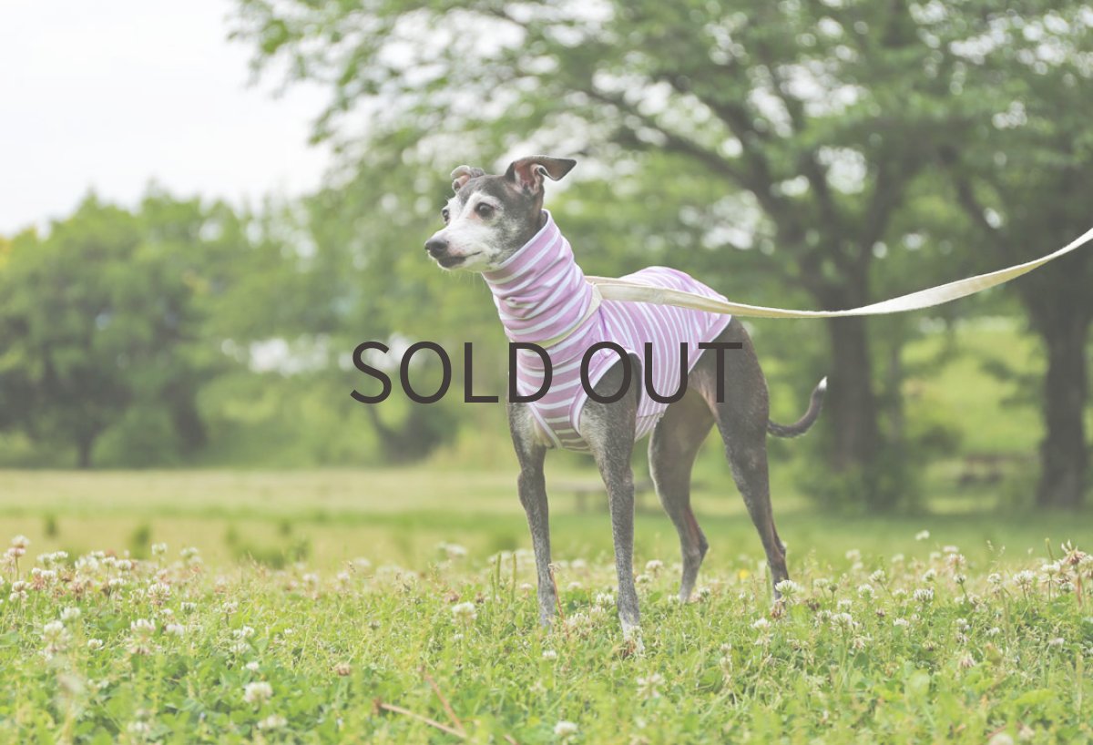 画像2: ゆったり袖幅のボーダーニット（オーキッド） (2)