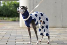 画像4: 大きな水玉ロンパース（ネイビー） (4)