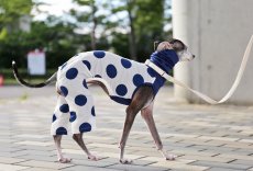 画像2: 大きな水玉ロンパース（ネイビー） (2)