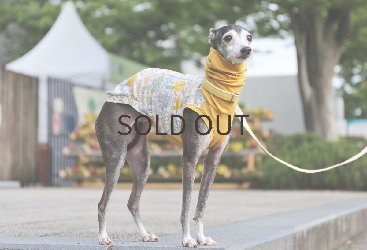 画像2: ぐるぐるダイナソー（カラシ）〜サイズ限定 (2)