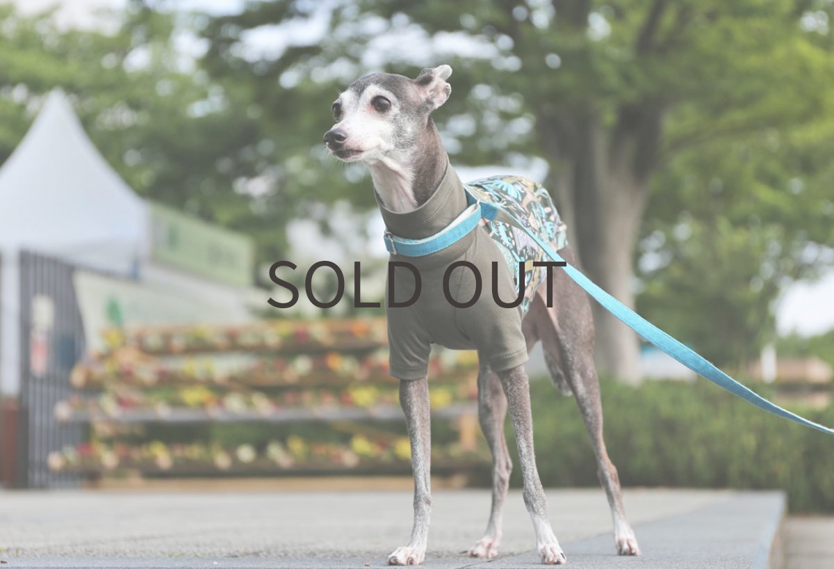 画像5: ぐるぐるダイナソー(オリーブカーキ) (5)