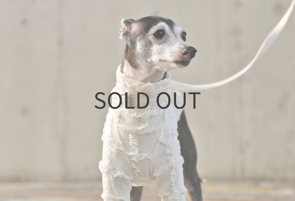 画像3: フリフリニット（ホワイト）〜サイズ限定 (3)