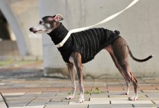画像4: フリフリニット（ブラック） (4)