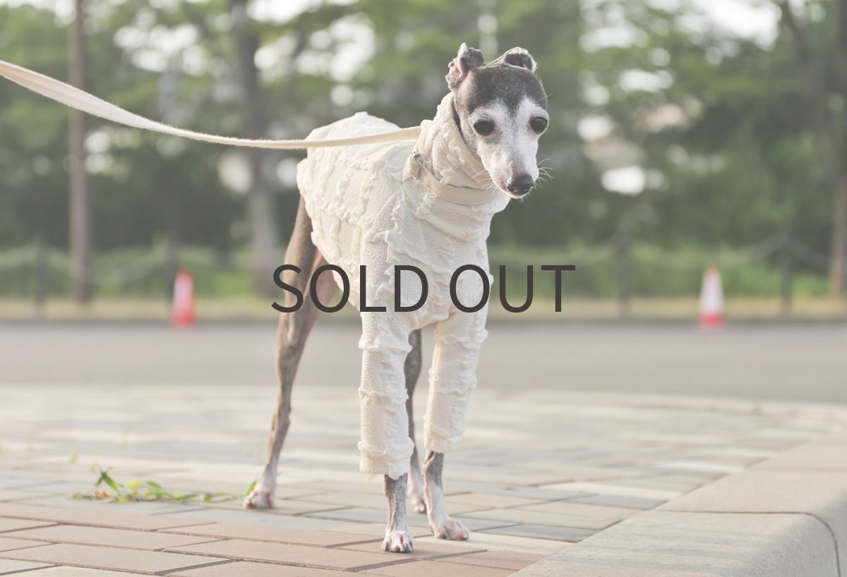 画像4: フリフリニット（ホワイト）〜サイズ限定 (4)