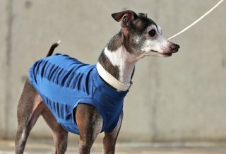 kappamakimaki　イタグレ服ハンドメイド SHOWTIME撃嬢さん衣装をデザイン制作させていただきました