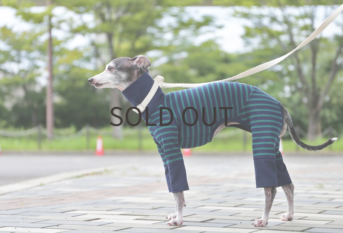 画像3: コットン100％のパターンボーダー（ネイビー） (3)