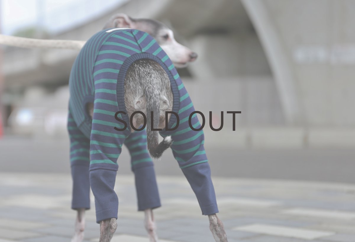 画像4: コットン100％のパターンボーダー（ネイビー） (4)