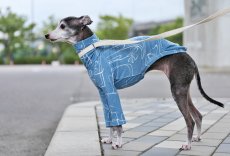 画像3: やわふにゃ接結ニット（スモークブルー）〜サイズ限定 (3)