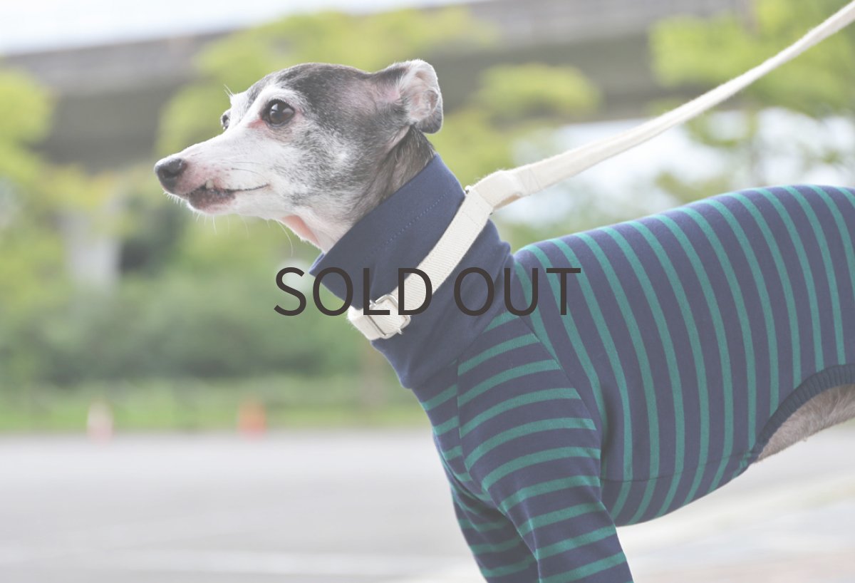 画像2: コットン100％のパターンボーダー（ネイビー） (2)