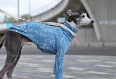 画像4: やわふにゃ接結ニット（スモークブルー）〜サイズ限定 (4)