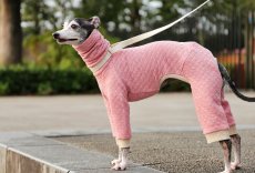 画像6: 【完成品】オーガニックコットンのキルトニット（イチゴ） (6)
