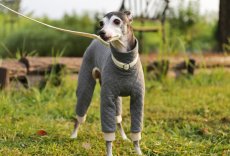 画像8: オーガニックコットンのキルトニット（ダブグレー） (8)