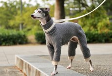 画像7: オーガニックコットンのキルトニット（ダブグレー） (7)