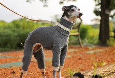 画像1: 【完成品】オーガニックコットンのキルトニット（ダブグレー） (1)