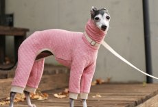 画像2: 【完成品】オーガニックコットンのキルトニット（イチゴ） (2)
