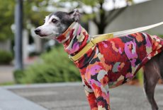 画像2: フラワー / 起毛ニット（レッド） (2)