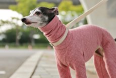 画像4: 【完成品】オーガニックコットンのキルトニット（イチゴ） (4)