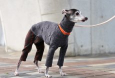 画像1: ドットのキルト＋フロッキー（ブラウン） (1)