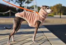 画像4: ふわふわボリュームの両面ファーフリース（ライラックミスト） (4)