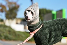 画像3: スライバーチェックの雫スヌード（グレー×アイボリー） (3)