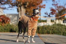 画像7: ふわふわボリュームの両面ファーフリース（クッキーブラウン） (7)