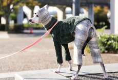 画像4: スライバーチェックの雫スヌード（グレー×アイボリー） (4)