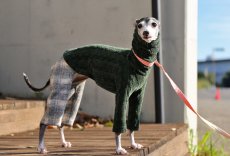 画像3: 縄編み起毛ジャガード+チェックパンツ（ボトルグリーン） (3)