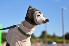 画像2: スライバーチェックの雫スヌード（ブラック×ブラウン） (2)