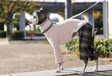 画像3: スライバーチェックの雫スヌード（ブラック×ブラウン） (3)