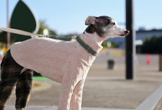 画像7: 縄編み起毛ジャガード+チェックパンツ（エクリュ） (7)