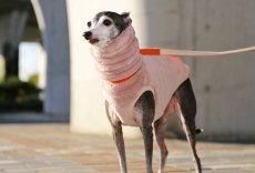 画像6: ふわふわボリュームの両面ファーフリース（ライラックミスト） (6)