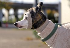 画像1: スライバーチェックの雫スヌード（ブラック×ブラウン） (1)