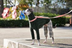 画像7: 縄編み起毛ジャガード+チェックパンツ（ボトルグリーン） (7)