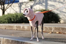 画像7: ふわふわボリュームの両面ファーフリース（ライラックミスト） (7)