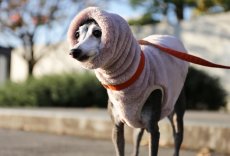 画像1: ふわふわボリュームの両面ファーフリース（ライラックミスト） (1)