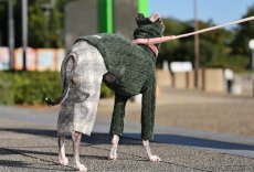 画像6: 縄編み起毛ジャガード+チェックパンツ（ボトルグリーン） (6)