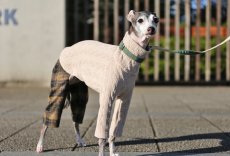 画像3: 縄編み起毛ジャガード+チェックパンツ（エクリュ） (3)