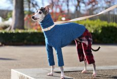 画像3: ワッフルニット+パイル起毛パンツ（アズール） (3)