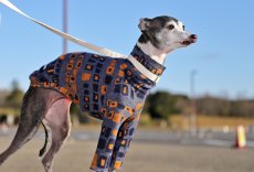 画像1: 吸湿発熱ソリストサーモ（オレンジ） (1)