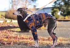 画像6: 吸湿発熱ソリストサーモ（オレンジ） (6)