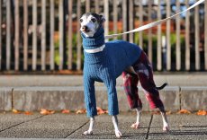 画像6: ワッフルニット+パイル起毛パンツ（アズール） (6)