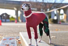 画像6: ワッフルニット+パイル起毛パンツ（ルビーレッド） (6)