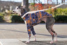 画像2: 吸湿発熱ソリストサーモ（オレンジ） (2)